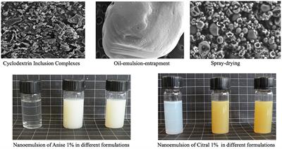 New Insights Into Biopesticides: Solid and Liquid Formulations of Essential Oils and Derivatives